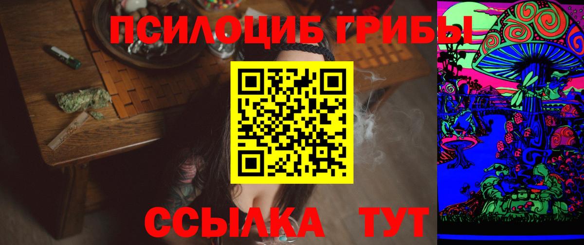 Галлюциногенные грибы мухоморы  где купить   Кизилюрт  Вход с VPN  Галлюциногенные грибы Cubensis 