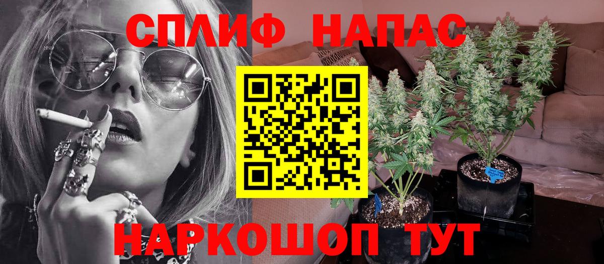 Бошки марихуана план  Марихуана план  Кизилюрт  МАРИХУАНА сатива  Вход с VPN  Конопля THC 21% 